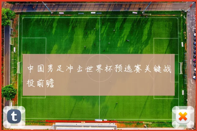 中国男足冲击世界杯预选赛关键战役前瞻