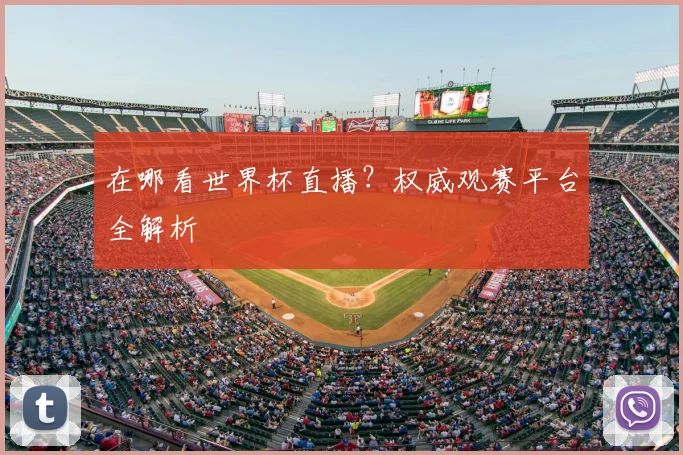 在哪看世界杯直播?权威观赛平台全解析