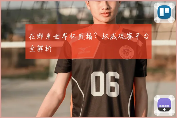 在哪看世界杯直播?权威观赛平台全解析