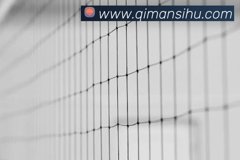 多媒体互动体验